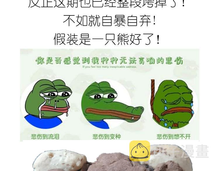 小熊包24