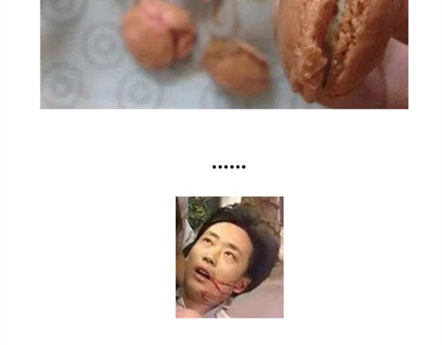 法式马卡龙26