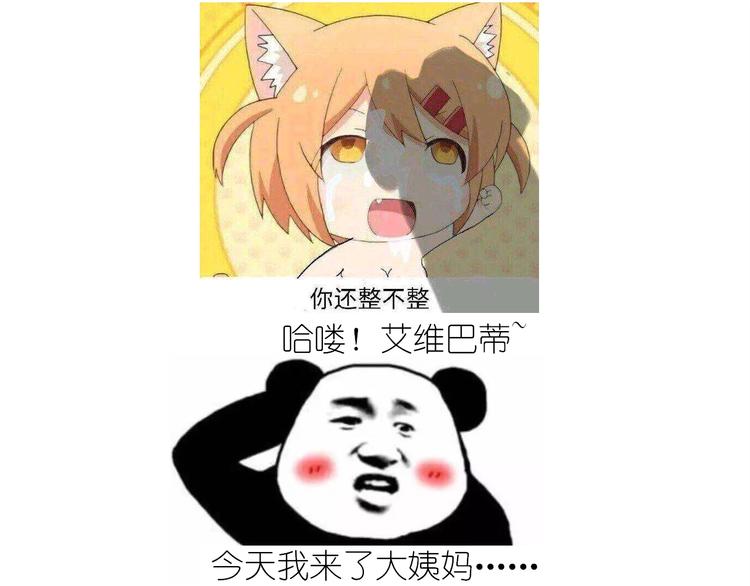仙女姨妈饼0
