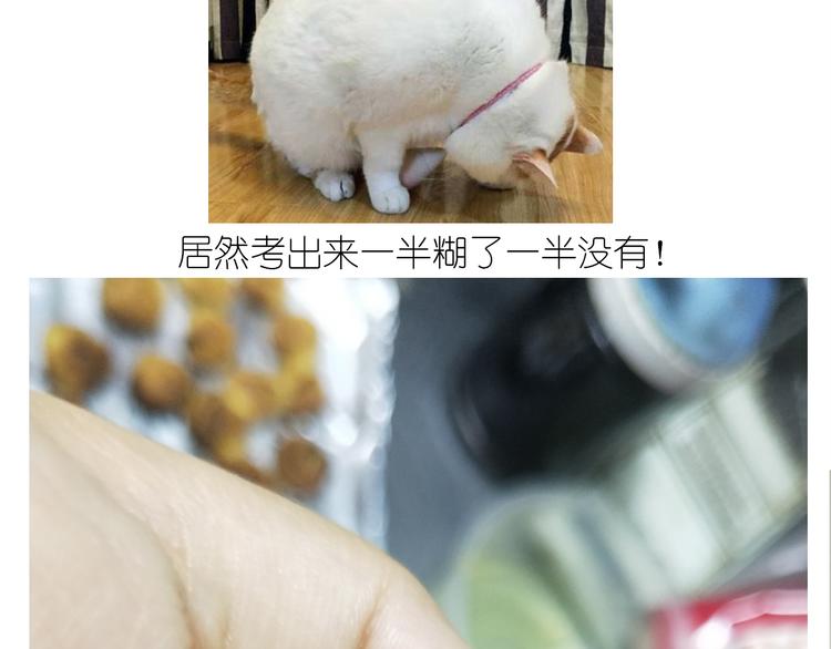 仙女蔓越莓奶酥29