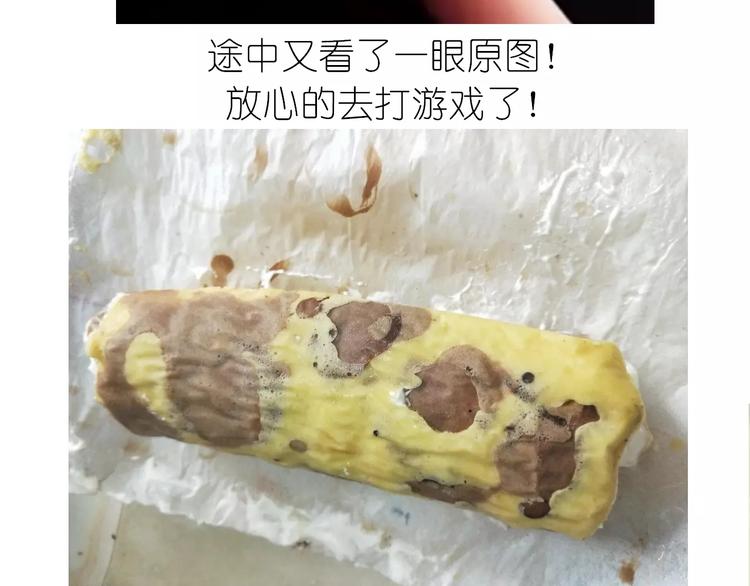 动物蛋糕卷40