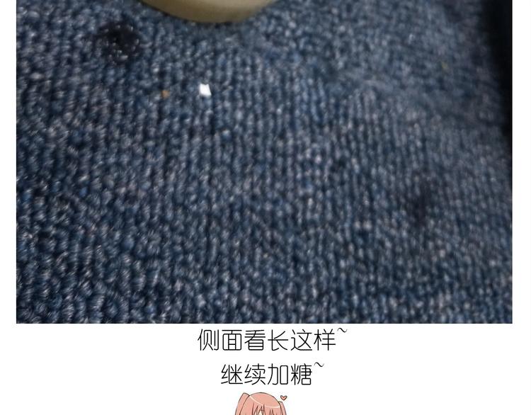 仙女的蜂窝煤39