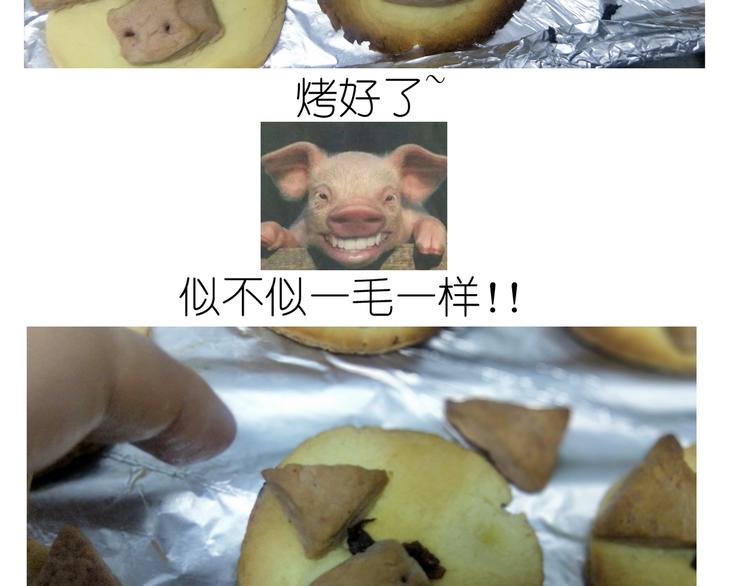 仙女小年特色猪饼干37