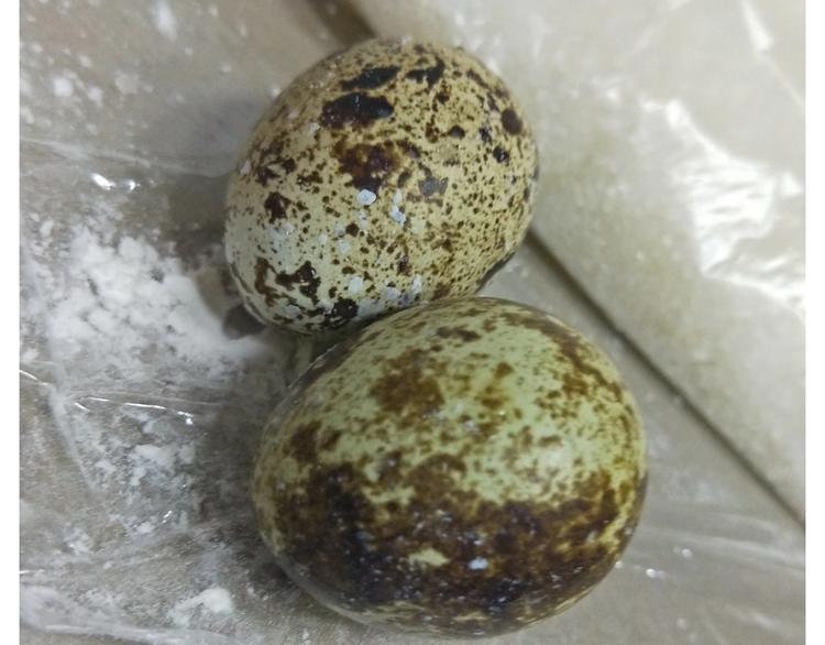 仙女的魔法饼干12