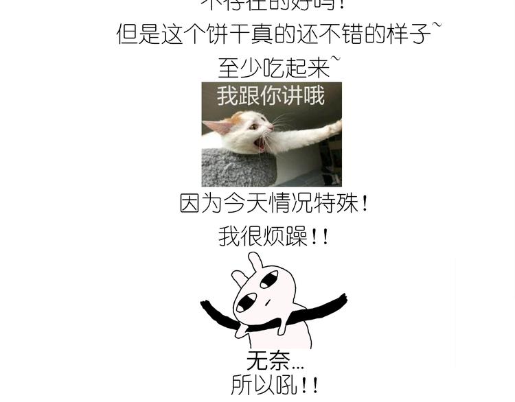 仙女姨妈饼39