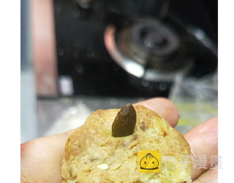 仙女全麦兔仓鼠饼37