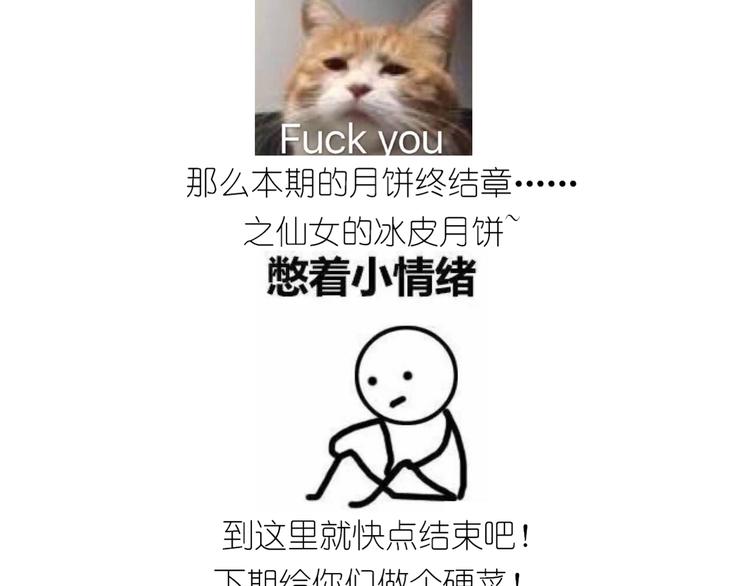 仙女的冰皮月饼33