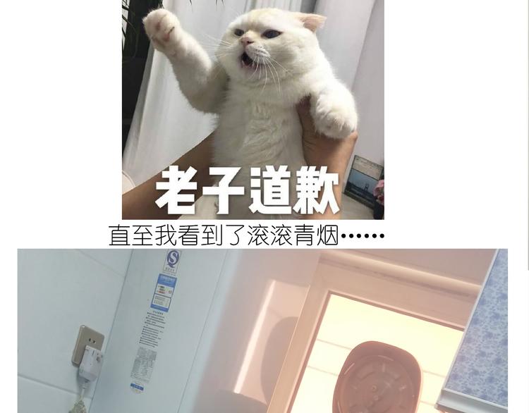 仙女的罗马盾饼干33