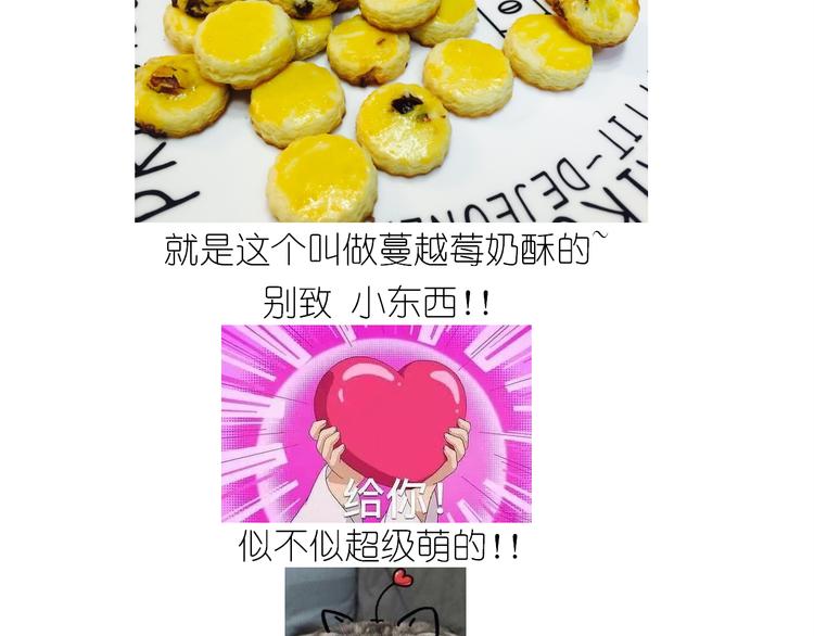 仙女蔓越莓奶酥1