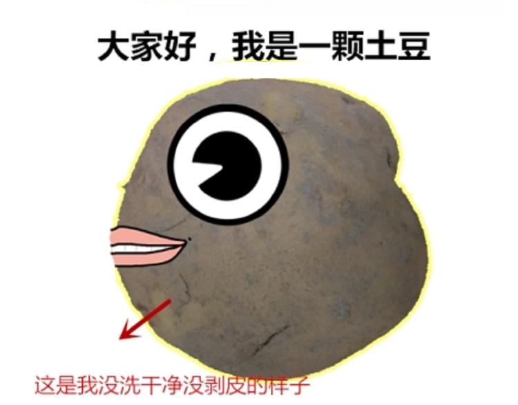 土豆丸子25