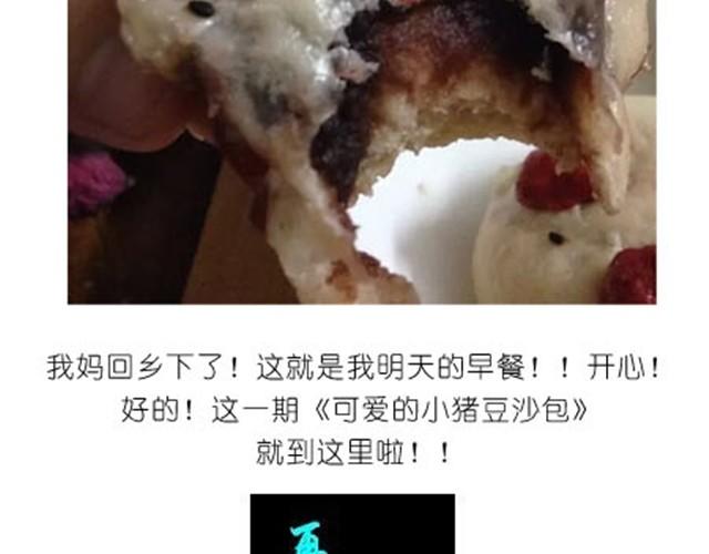 可爱的小猪豆沙包22