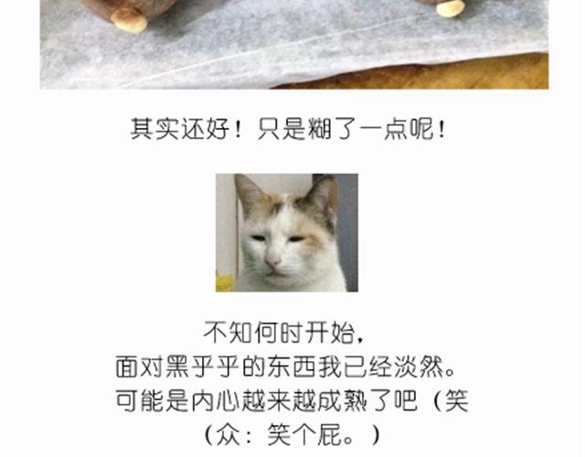 送给快看的3D小熊面包树13