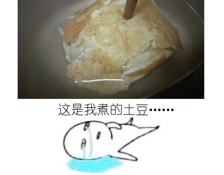 土豆丸子5