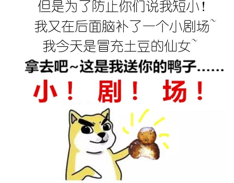 土豆丸子24