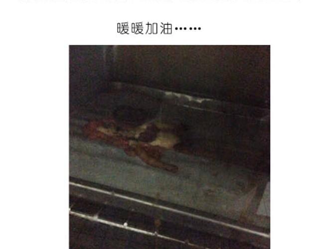 烤饼干17