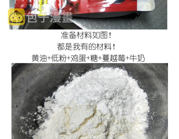 仙女圣诞饼干4