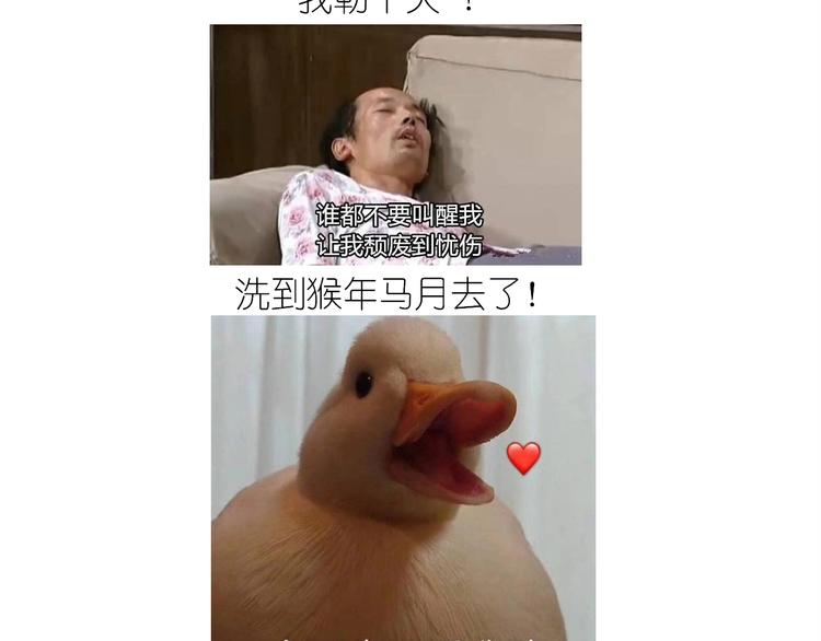 仙女的减肥餐58