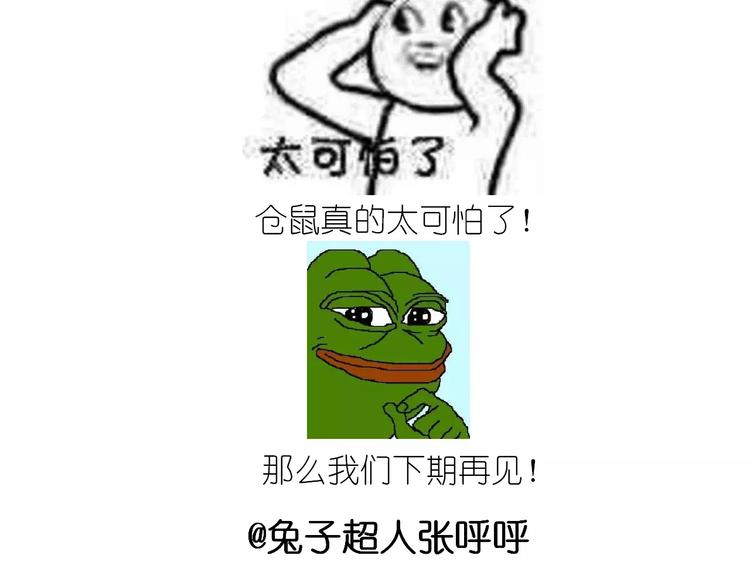 仙女的蛋包面64