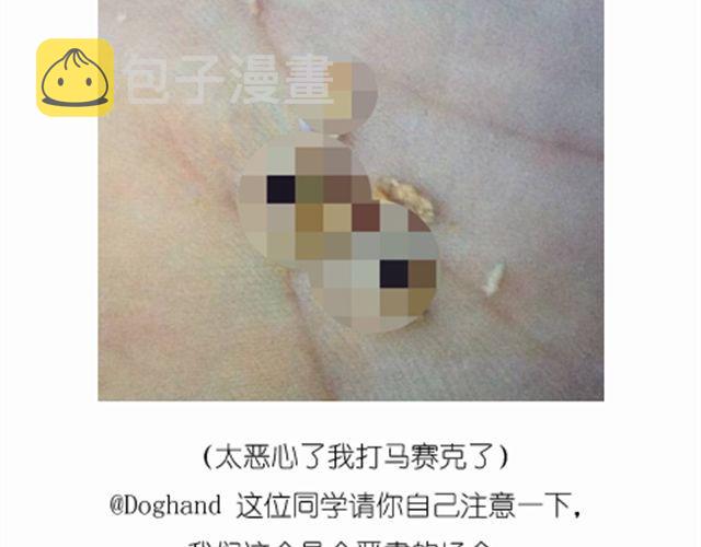 法式马卡龙46