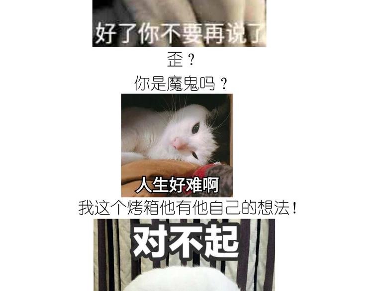 仙女蔓越莓奶酥28