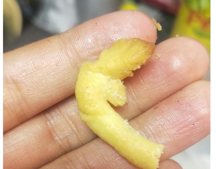 仙女的罗马盾饼干50