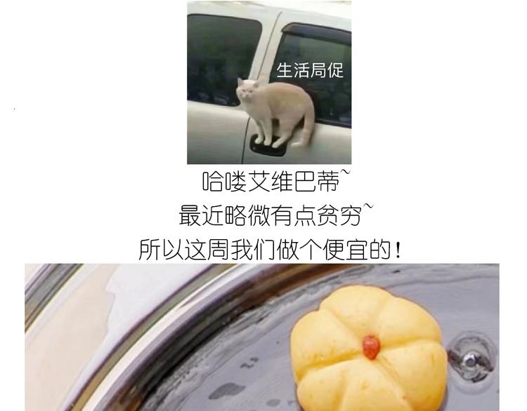 仙女的大南瓜0