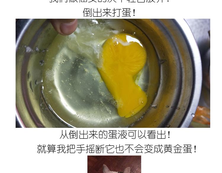 仙女黄金蛋20