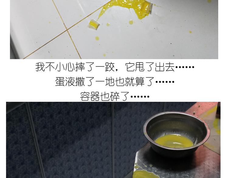 仙女黄金蛋27