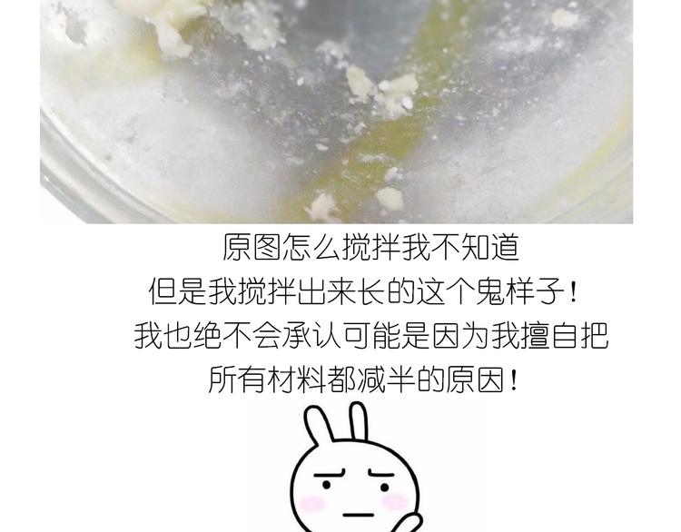 仙女全麦兔仓鼠饼9