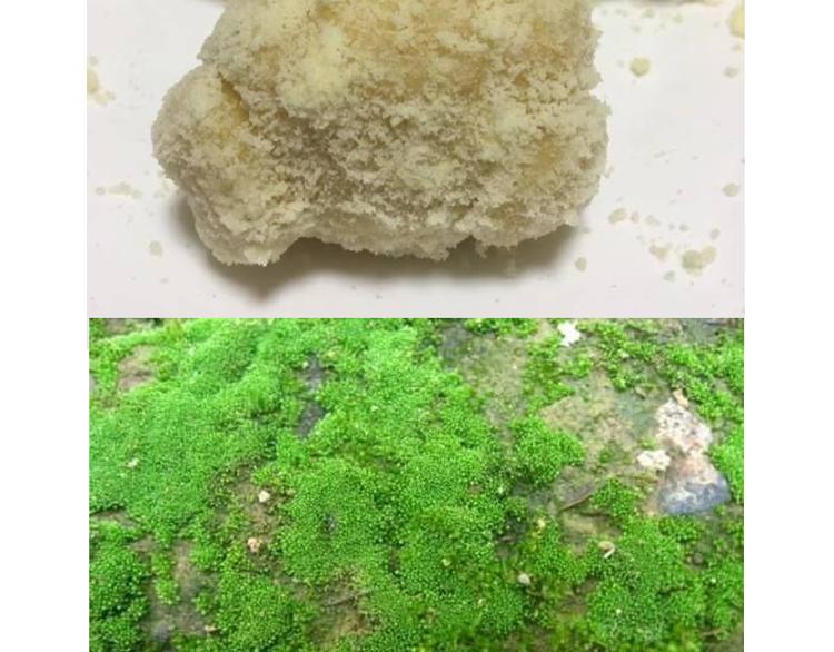 玻尿酸鸭子32