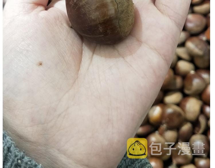 仙女新年不方便泡面3