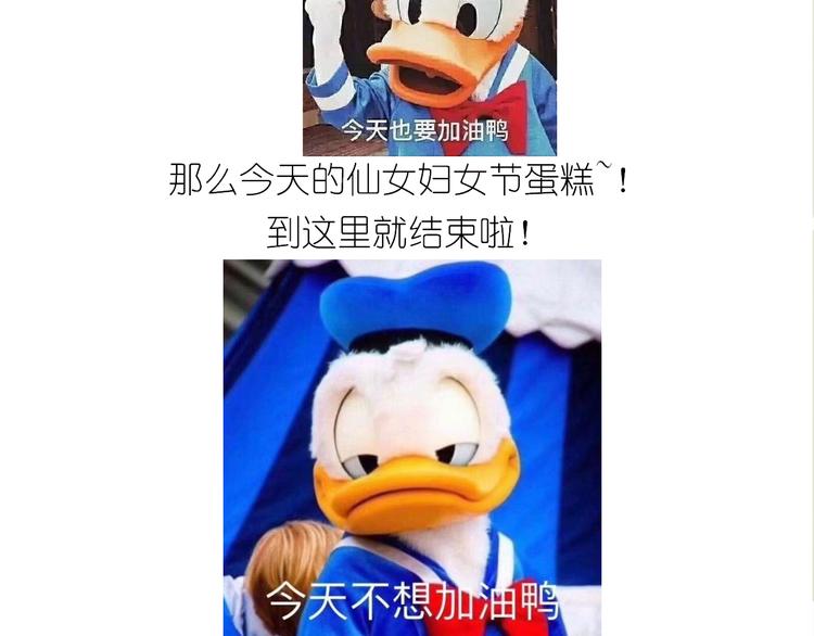 仙女的妇女节蛋糕62
