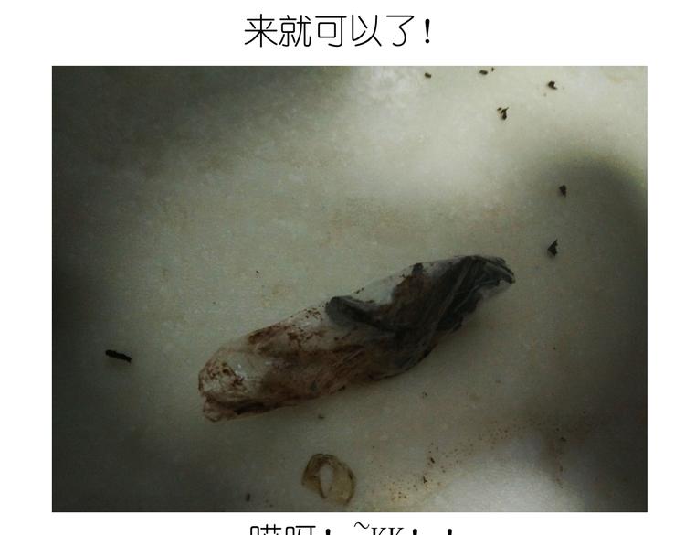 别样下午茶8