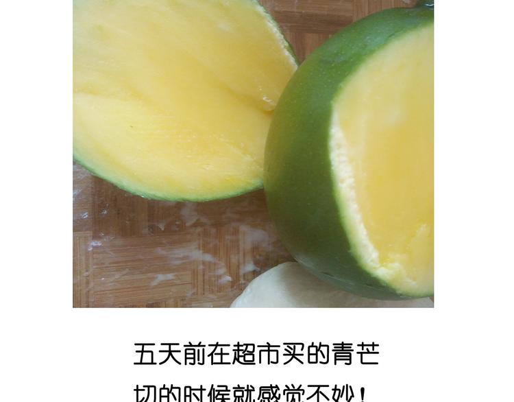 大吐司17
