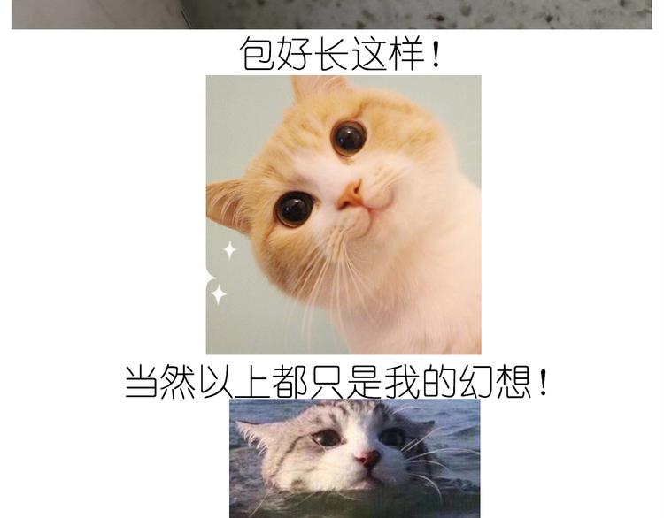 仙女水晶包40
