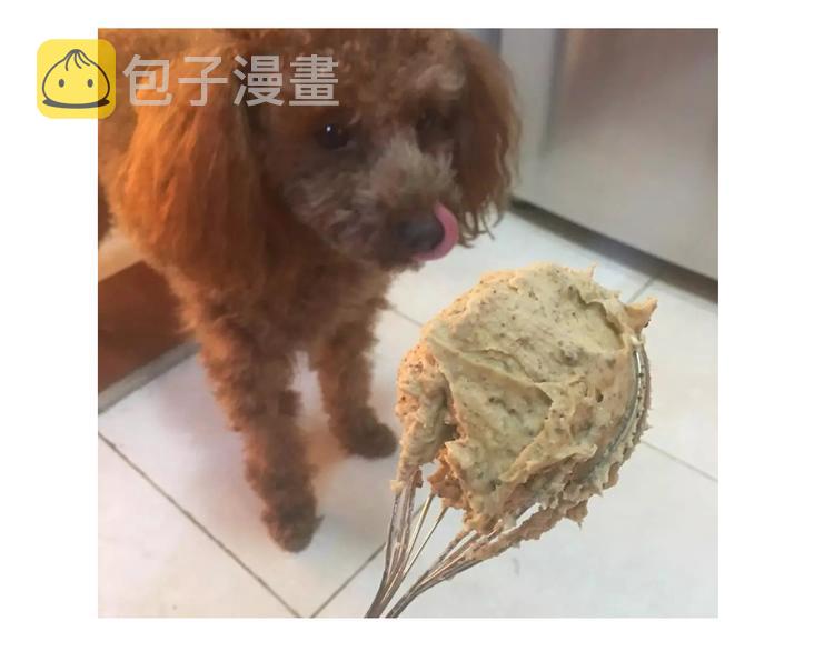 圣诞小屋5