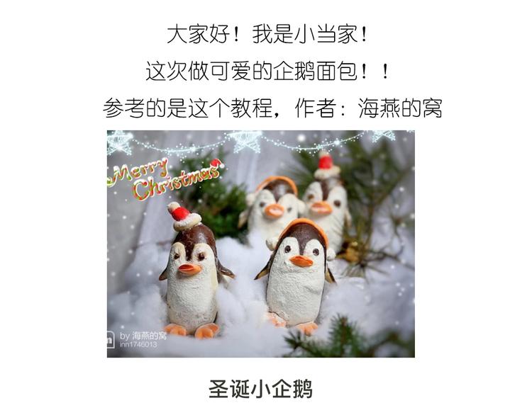企鹅面包0