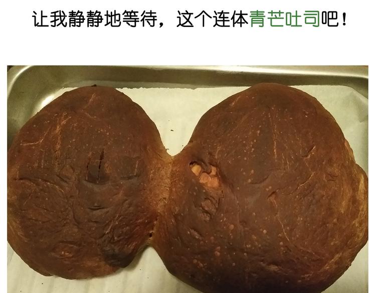 大吐司27