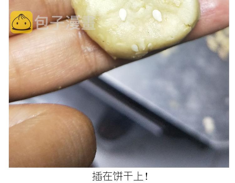 仙女全麦兔仓鼠饼28