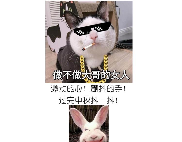 仙女三不沾0
