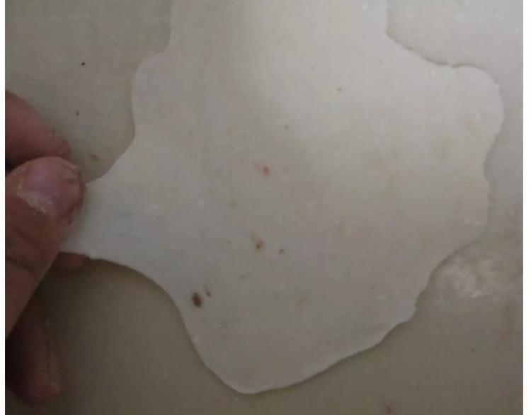 小绵羊面包32