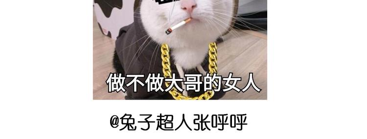 仙女的膨胀糖48