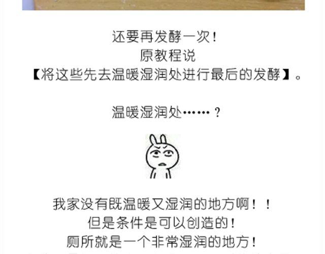 送给快看的3D小熊面包树6