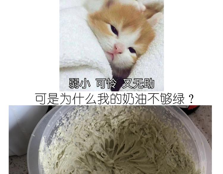 仙女的抹茶蛋糕17