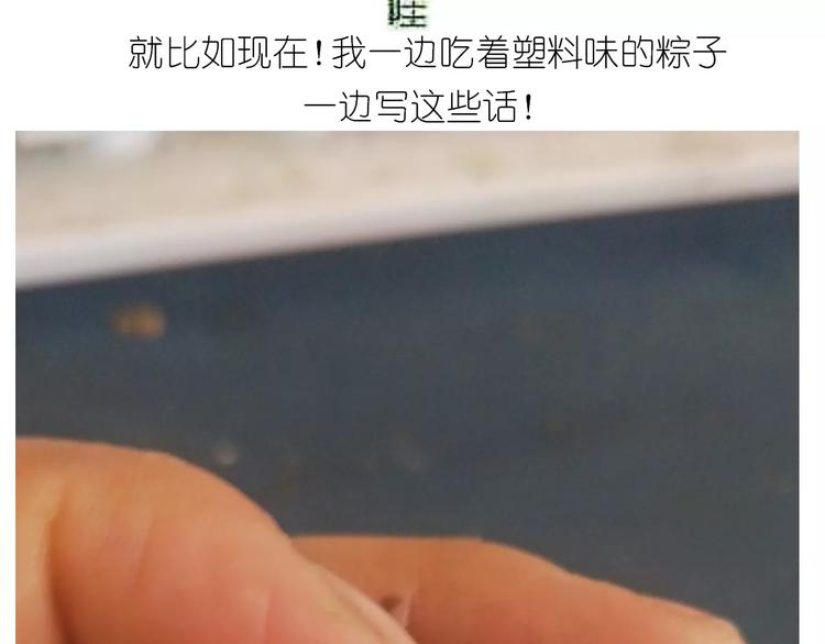 粽子君32