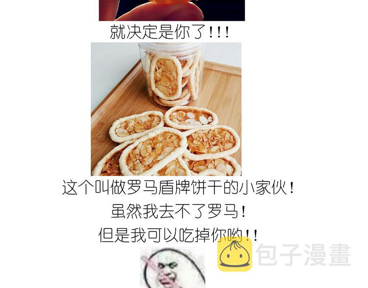 仙女的罗马盾饼干2