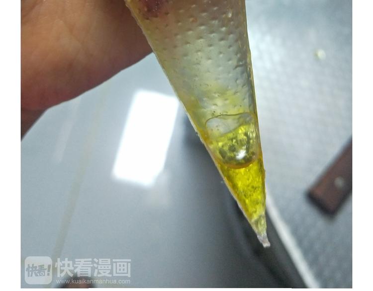 仙女星冰粽29