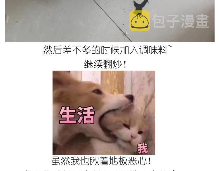 仙女减肥炒饭48