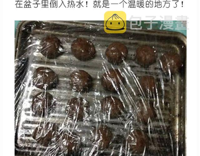 送给快看的3D小熊面包树7