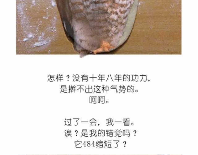 值得拥有56个赞的中国好面包！14
